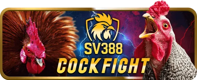 Tiền thưởng chào mừng cho người chơi mới tại Win98 Nổ Hũ